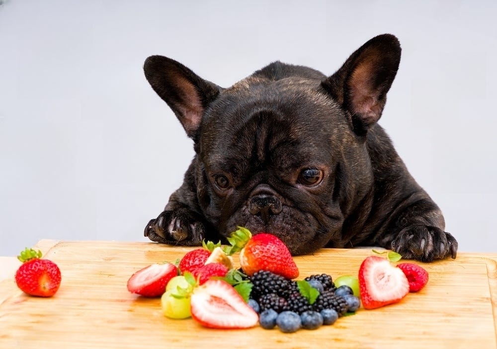 Can French Bulldogs Eat Strawberries