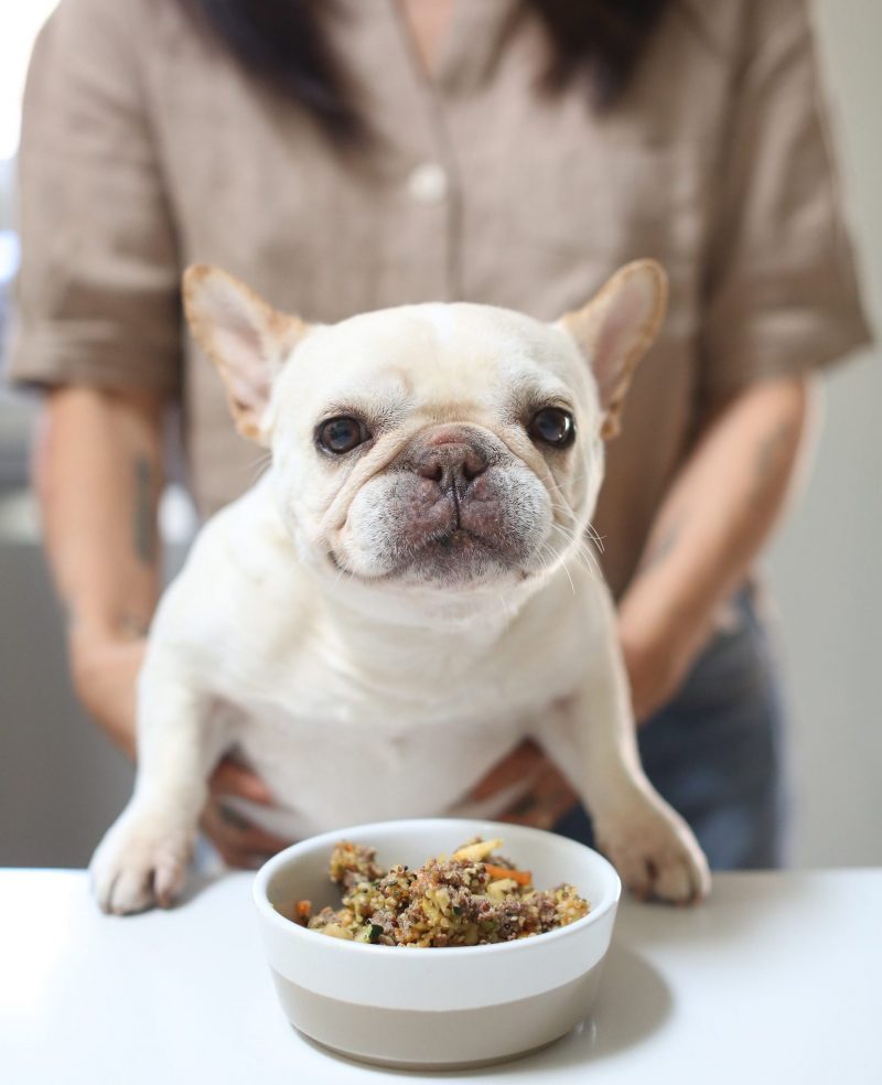 What Fruits And Vegetables Can I Feed My French Bulldog