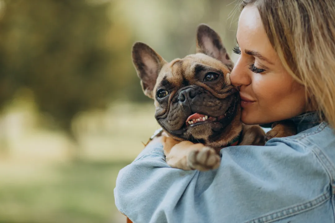 Can a French Bulldog Be a Service Dog