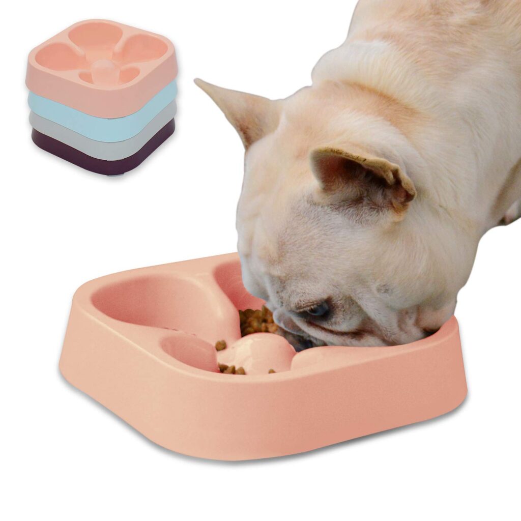 Slow Feeding Dog Bowl for French Bulldogs the Ultimate Guide