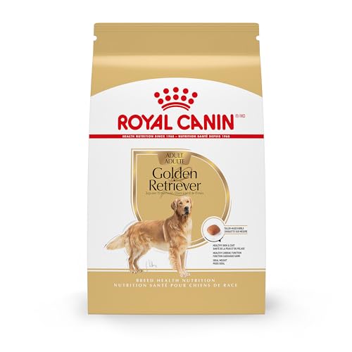 Best Adult Dog Food for Golden Retrievers