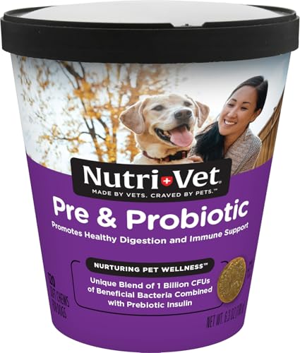 Best Cheapest Probiotic for Seniour Dog