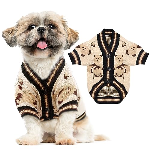 Best Clothes for Dogs