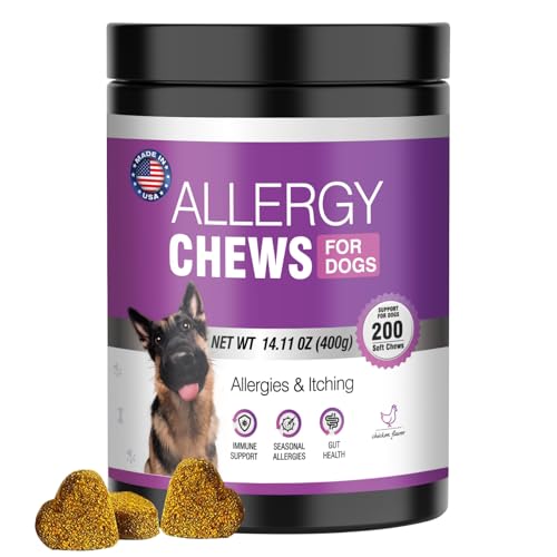 Best Dog Allergy Medicine