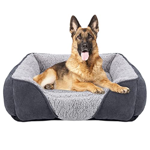 Best Dog Beds for German Shepherds