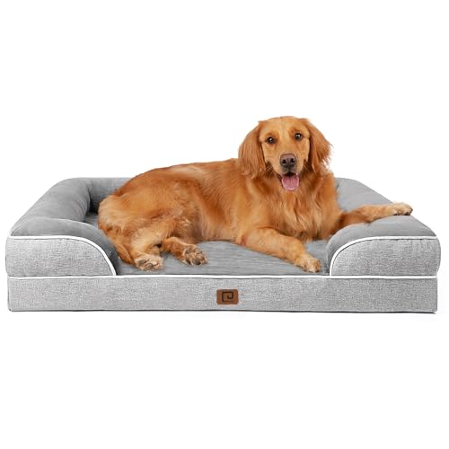 Best Dog Beds for Golden Retrievers