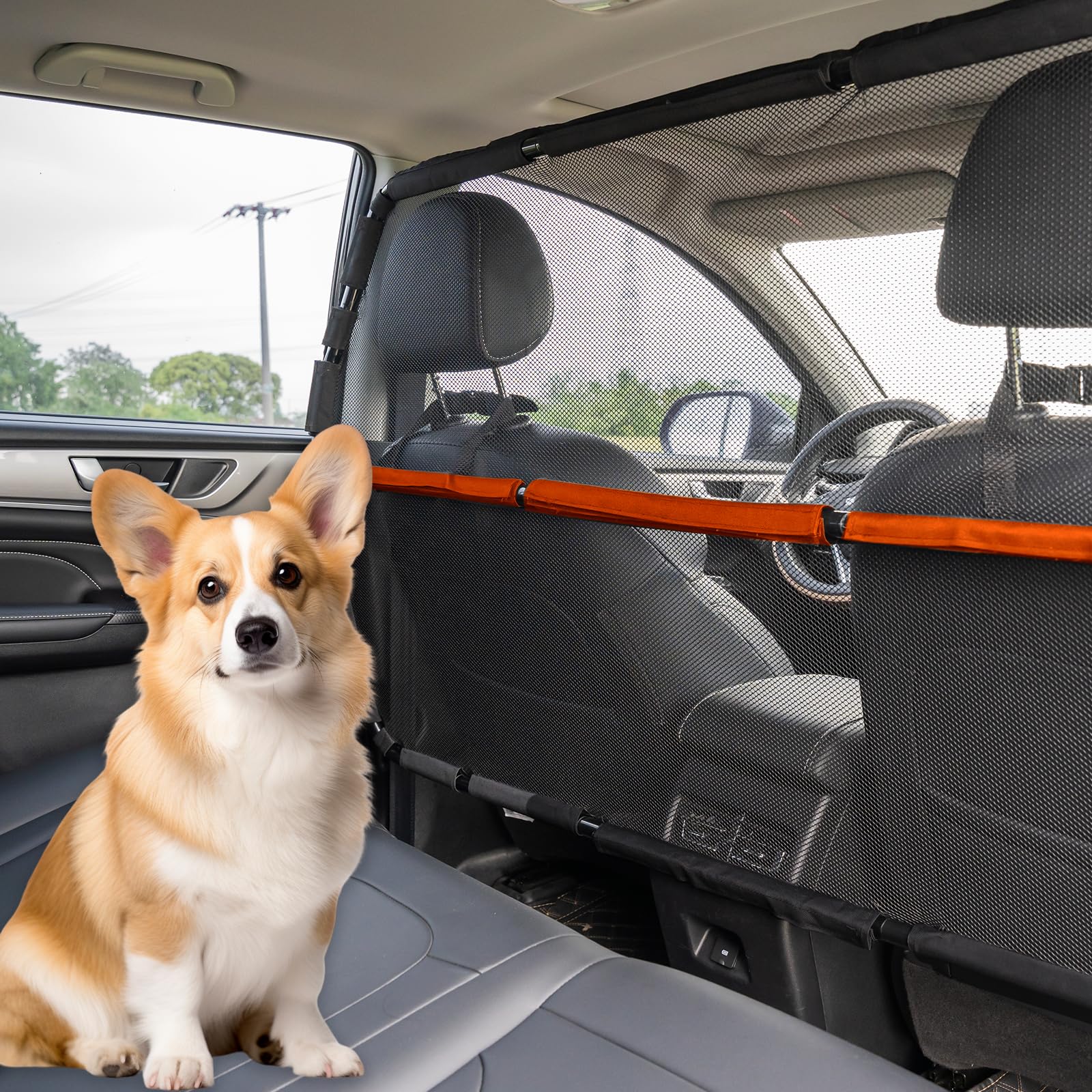 Best Dog Car Barrier: Top Picks for Safe and Secure Travels