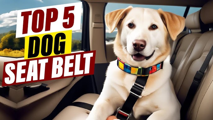 Best Dog Car Seat Belts: Keep Your Furry Friend Safe on the Road