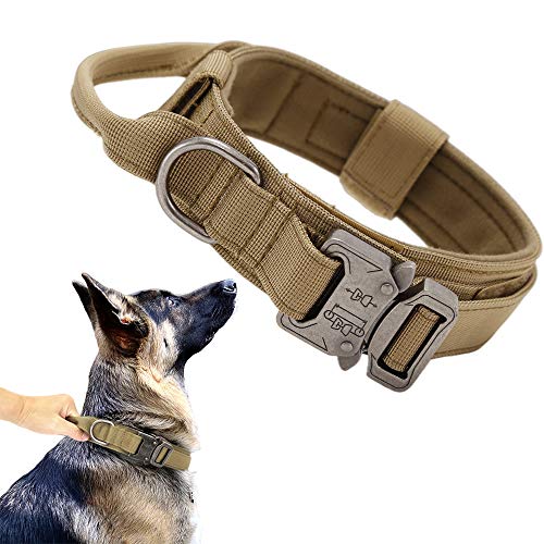 Best Dog Collars for German Shepherds