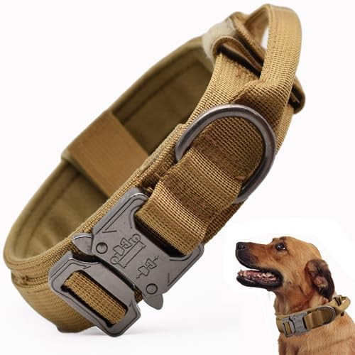 Best Dog Collars for Pitbulls