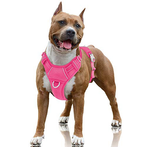 Best Dog Harness for Pitbulls