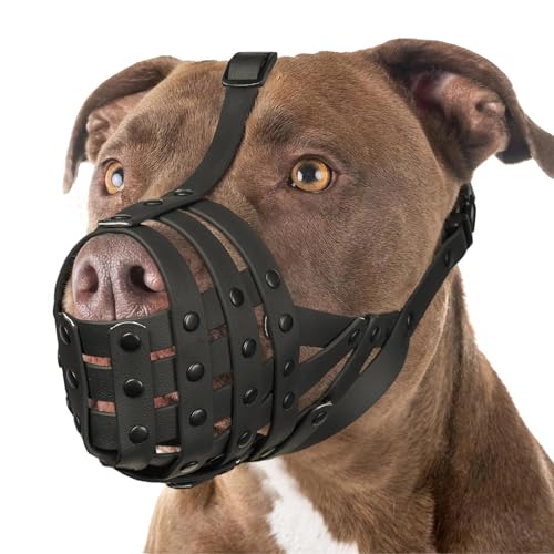 Best Dog Muzzle for Pitbulls