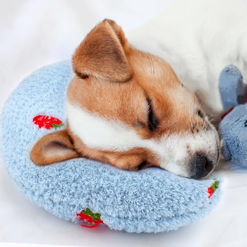 Best Dog Pillows for Small Dogs