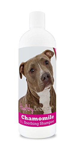 Best Dog Shampoo for Pitbulls