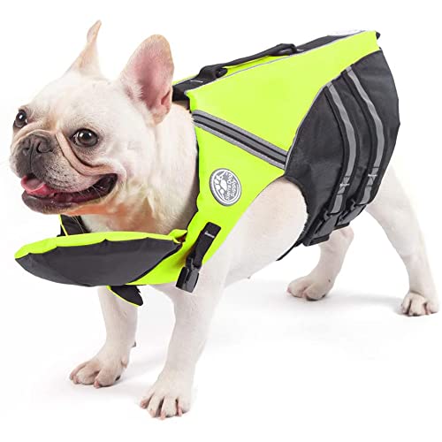 Best French Bulldog Life Jackets