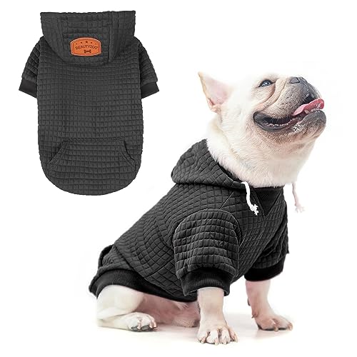 Best French Bulldog Sweaters