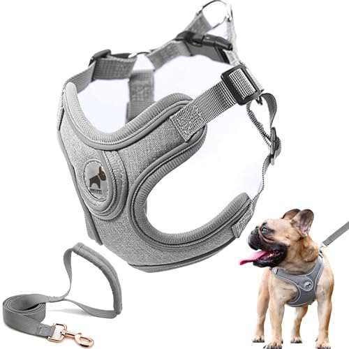 Best Frenchie Harness