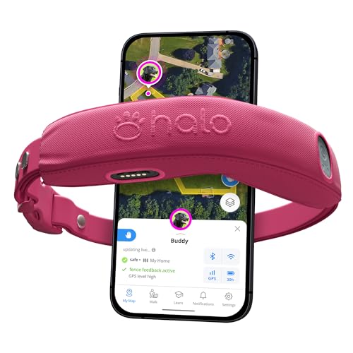 Best Gps Dog Collar