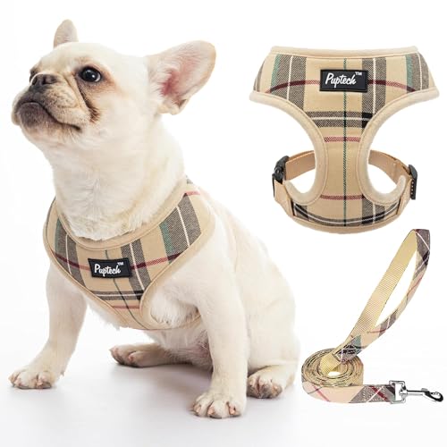 Best Harness for French Bulldogs