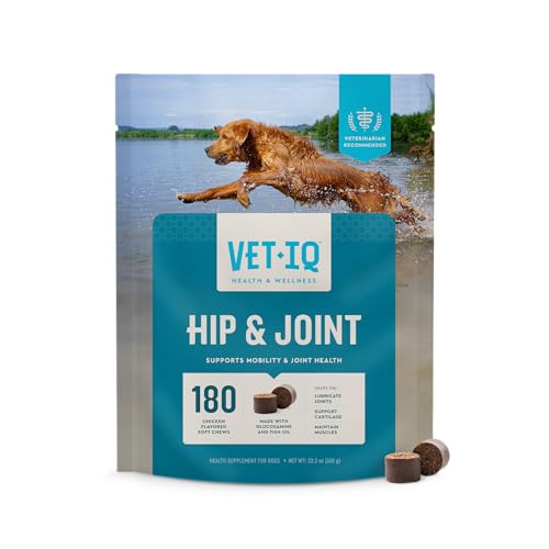 Best Hip And Joint Supplement for Pitbulls