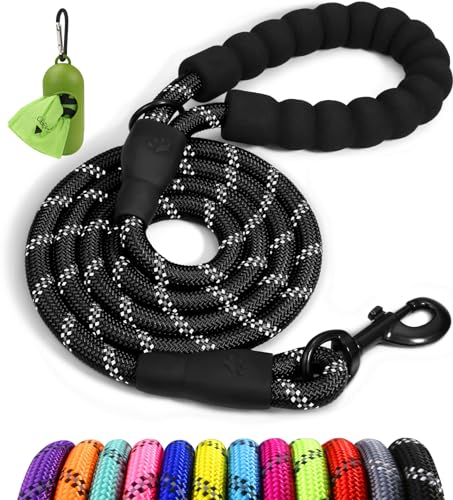 Best Leash for Bulldog