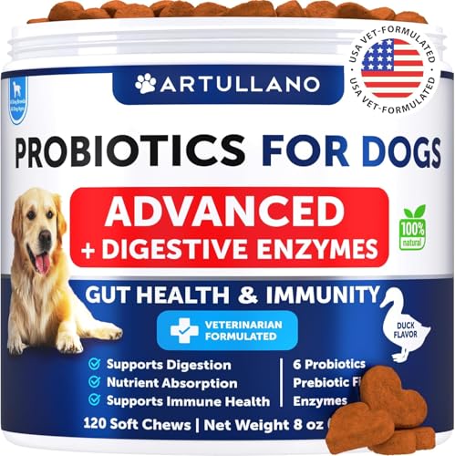 Best Probiotic for Bulldogs