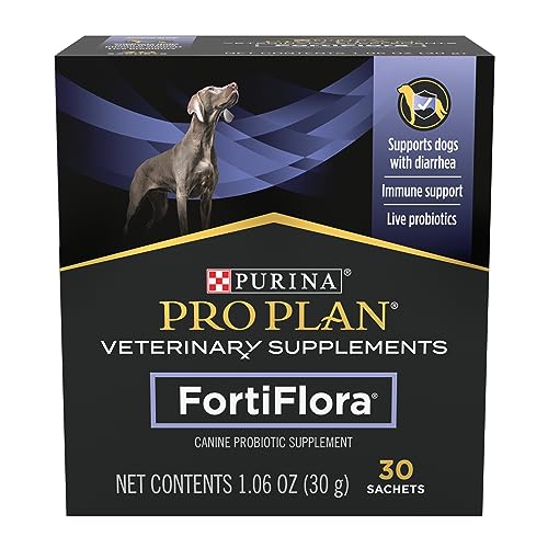 Best Probiotic for Dogs