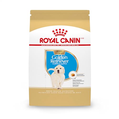 Best Puppy Food for Golden Retrievers