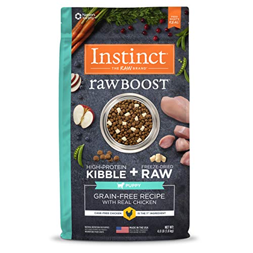 Best Raw Food for Dog Puppy