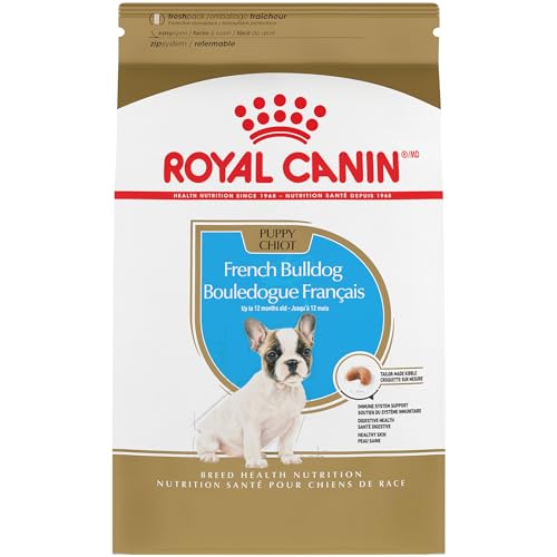 Best Raw Food for French Bulldog Puppy