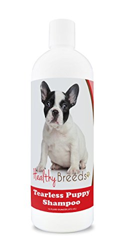 Best Shampoo for French Bulldogs Puppy