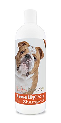 Best Smelling Shampoo for Bulldogs