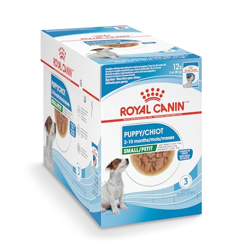 Best Wet Food for French Bulldog Puppy