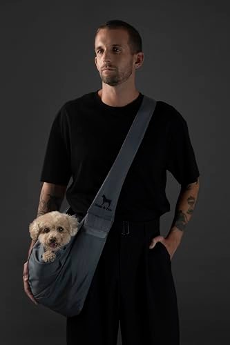 Best Carrier For French Bulldog