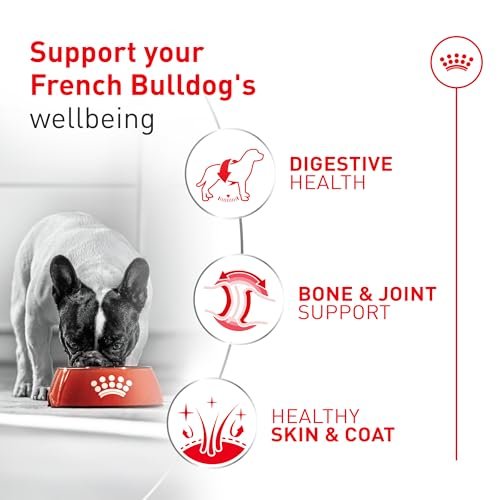 Best Wet Food For French Bulldog