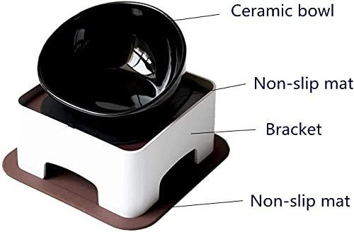 Best Bowl For French Bulldog