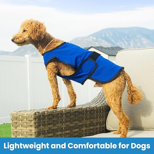 Best Cooling Vest For French Bulldog