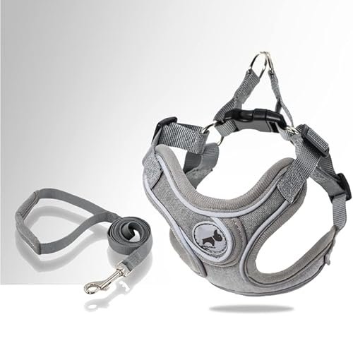 Best Harness For French Bulldog